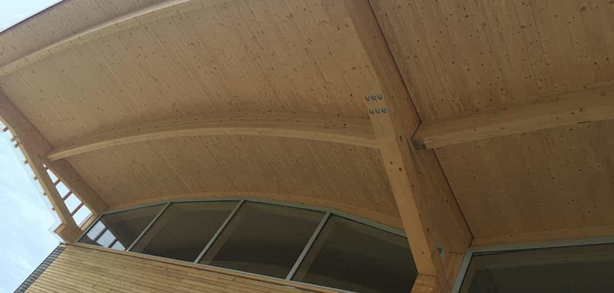 Untersicht der bogenförmigen Holzdachkonstruktion mit Fensterband an der Lagerhalle Scheibelhofer