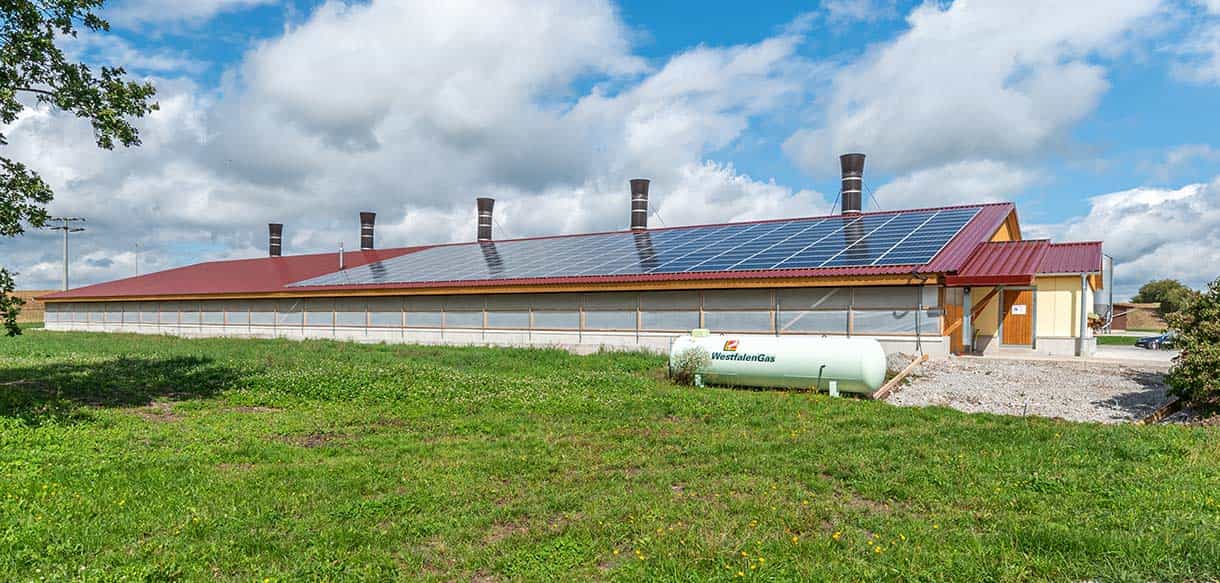 Hähnchenmaststall von Haas Landwirtschaftsbau