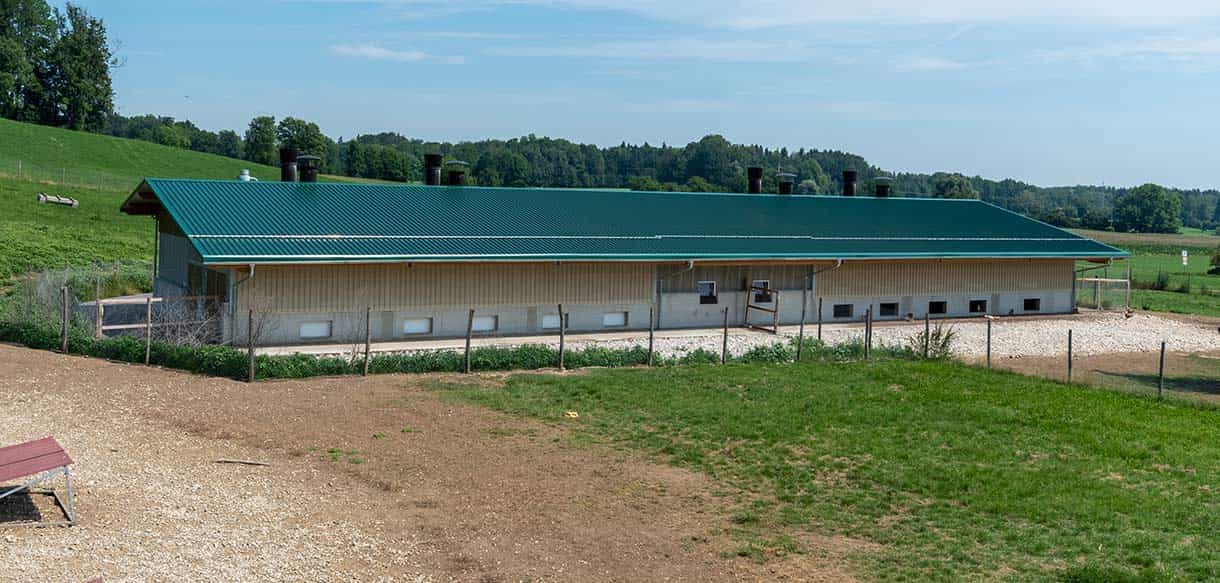 Legehennenstall von Haas Landwirtschaftsbau