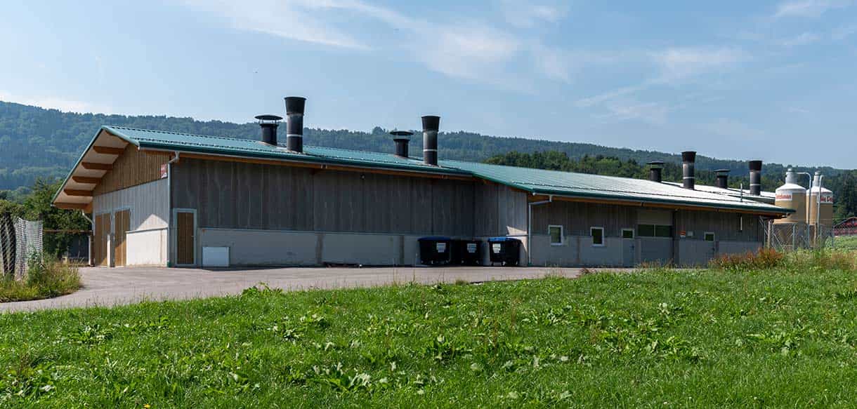 Legehennenstall von Haas Landwirtschaftsbau