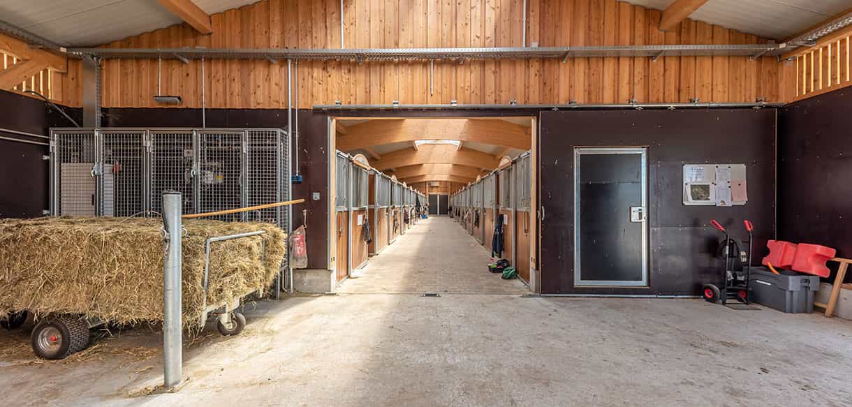 Pferdestall für Reiterhof von Haas Landwirtschaftsbau