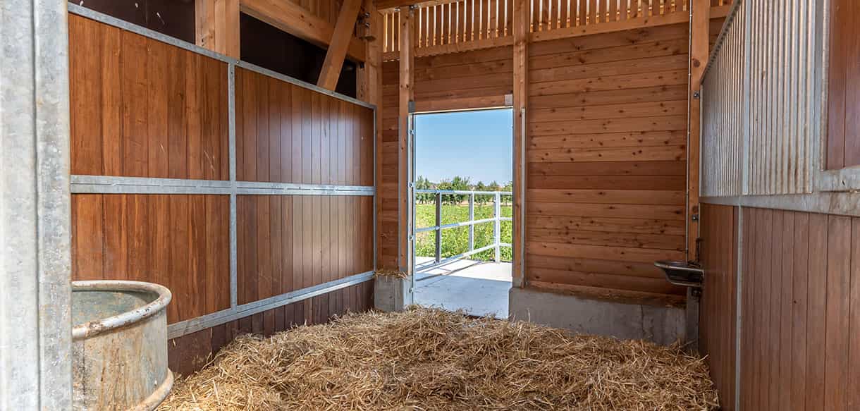 Pferdestall für Reiterhof von Haas Landwirtschaftsbau