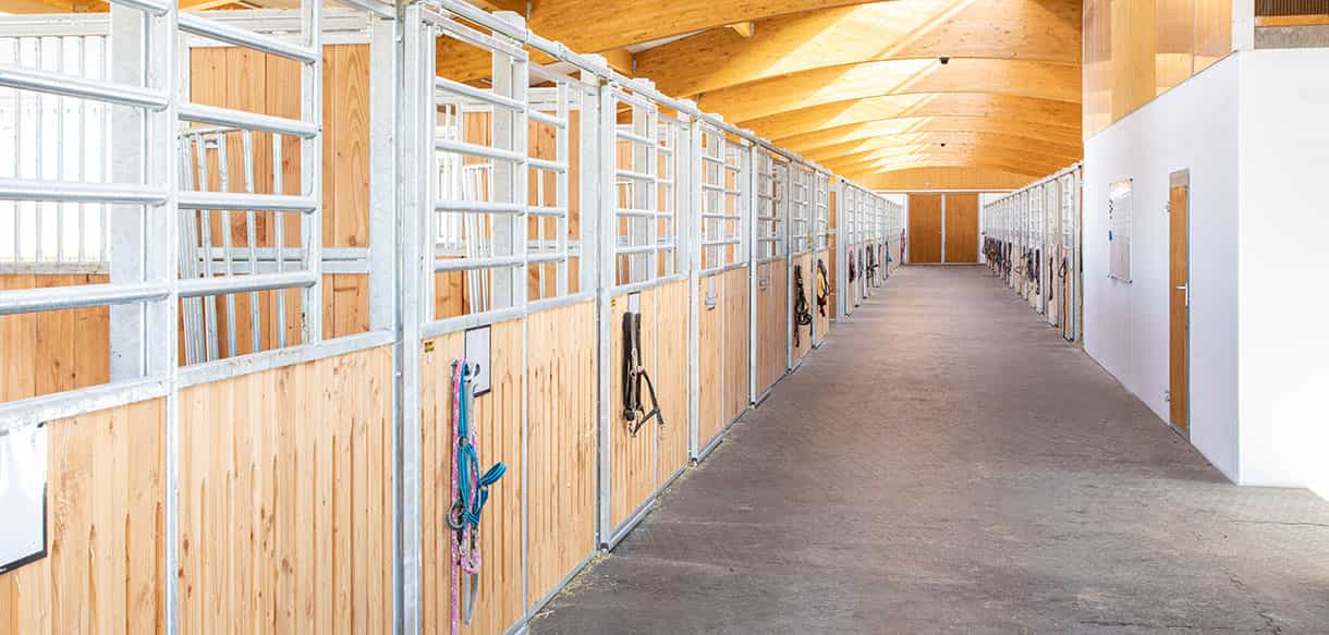 Reitanlage von Haas Landwirtschaftsbau - Pferdestall