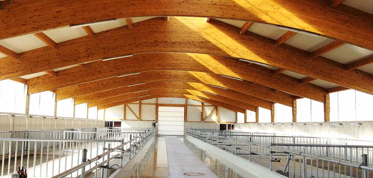 Bullenmaststall von Haas Landwirtschaftsbau