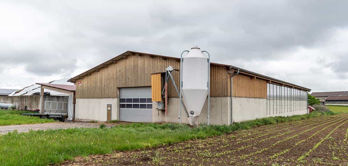 Bullenmaststall von Haas Landwirtschaftsbau