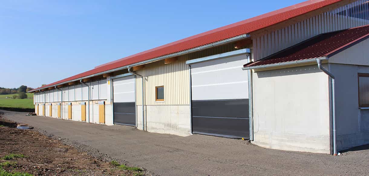 Bullenmaststall von Haas Landwirtschaftsbau