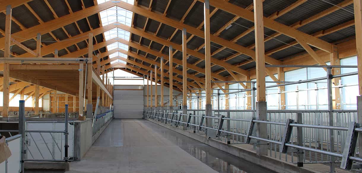 Bullenmaststall von Haas Landwirtschaftsbau