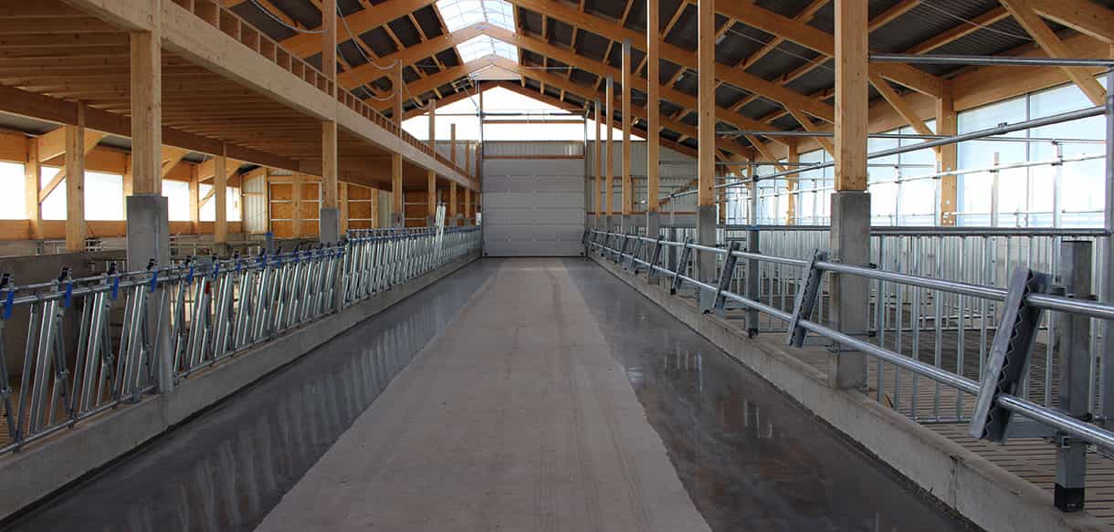 Bullenmaststall von Haas Landwirtschaftsbau