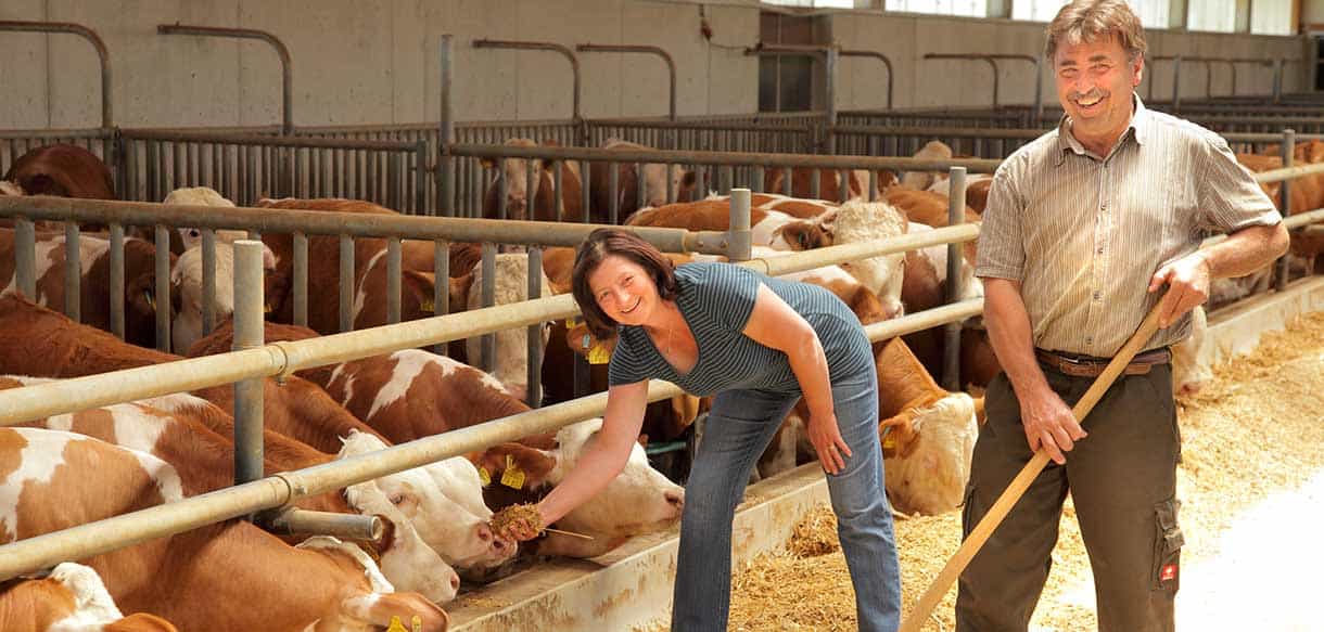 Bullenmaststall von Haas Landwirtschaftsbau