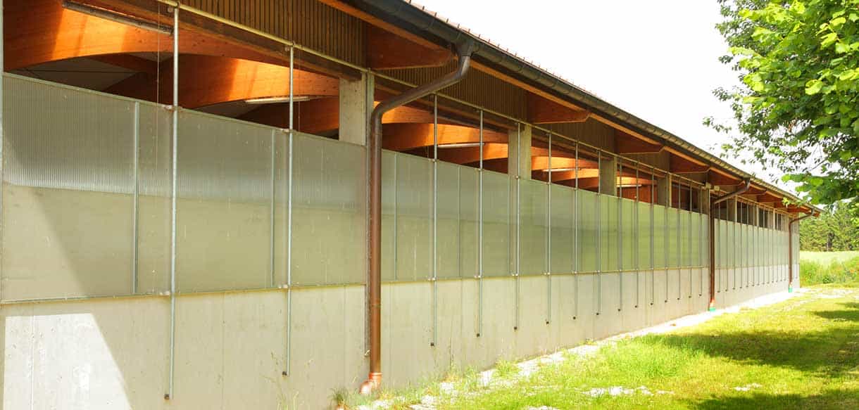 Bullenmaststall von Haas Landwirtschaftsbau
