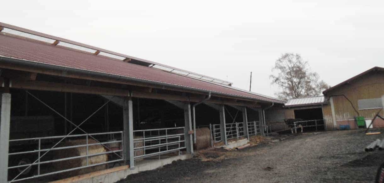 Jungviehstall von Haas Landwirtschaftsbau