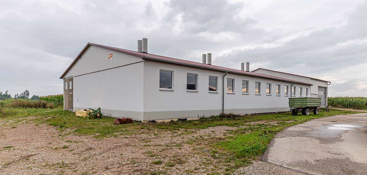 Kälber- und Jungviehstall von Haas Landwirtschaftsbau