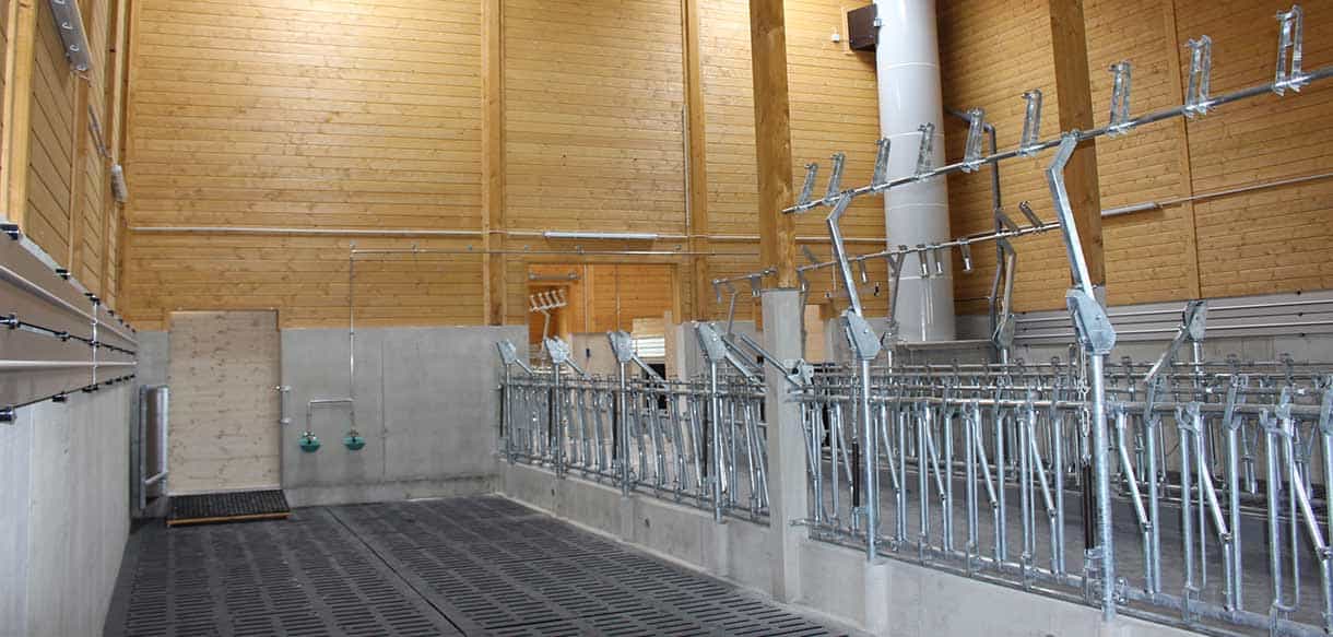 Kälberstall von Haas Landwirtschaftsbau