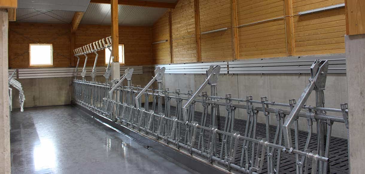 Kälberstall von Haas Landwirtschaftsbau