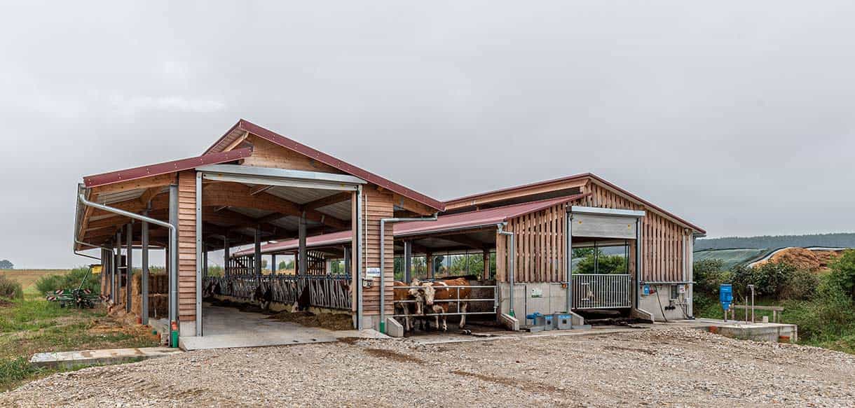 Kälber- und Jungviehstall von Haas Landwirtschaftsbau