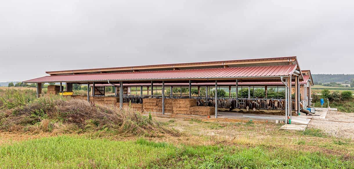 Kälber- und Jungviehstall von Haas Landwirtschaftsbau