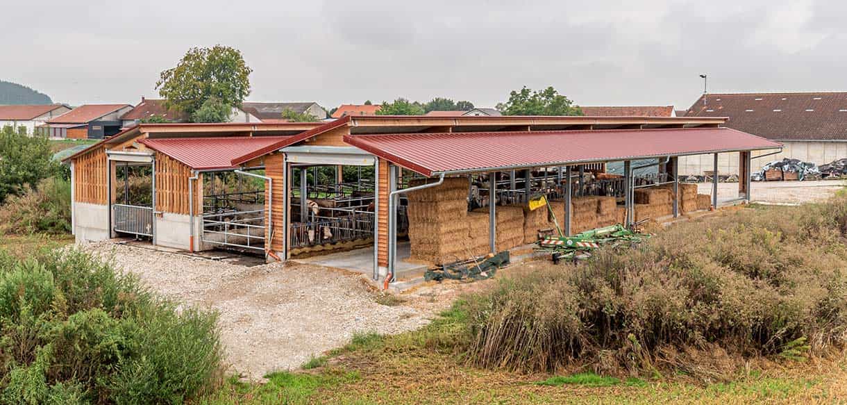 Kälber- und Jungviehstall von Haas Landwirtschaftsbau