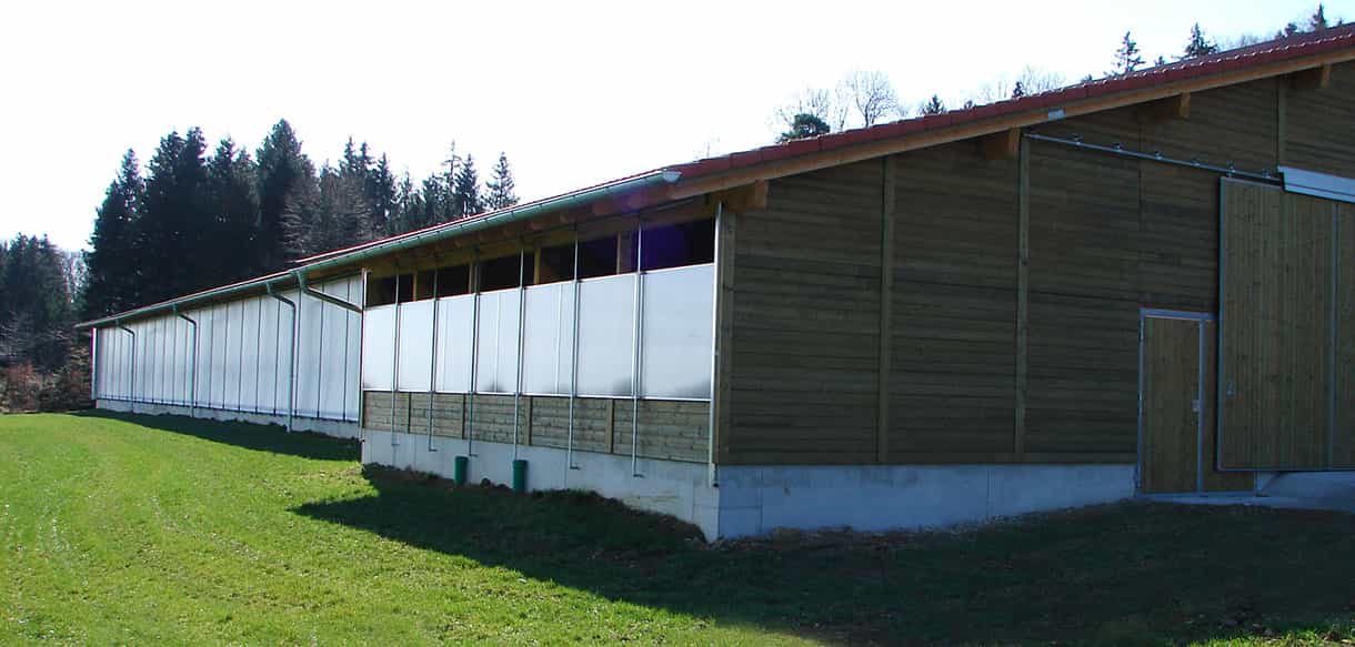 Milchviehstall in Haas Landwirtschaftsbau