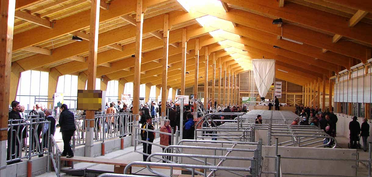 Milchviehstall in Haas Landwirtschaftsbau