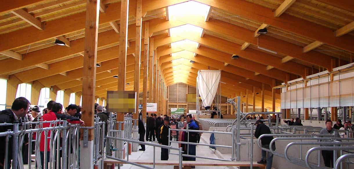 Milchviehstall in Haas Landwirtschaftsbau