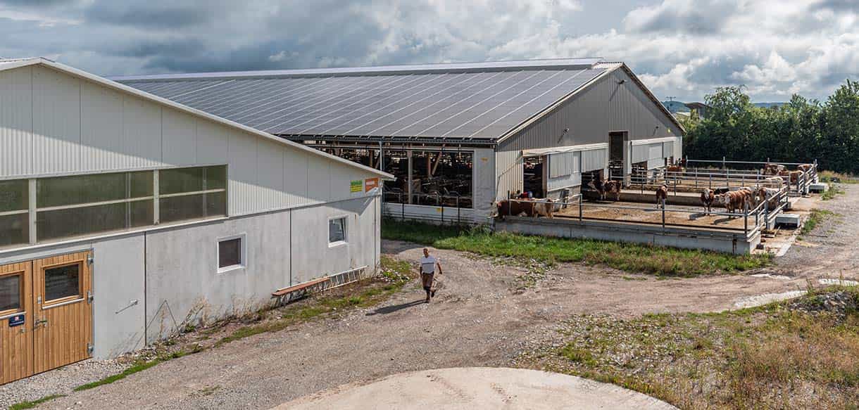 Milchviehlaufstall von Haas Landwirtschaftsbau
