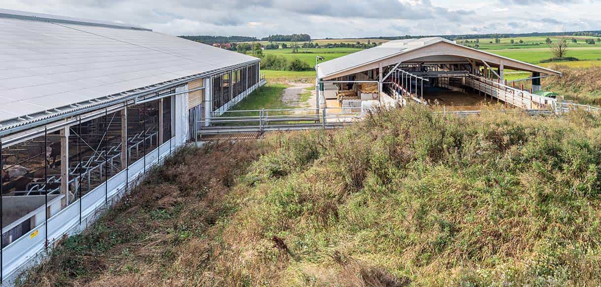 Milchviehlaufstall von Haas Landwirtschaftsbau