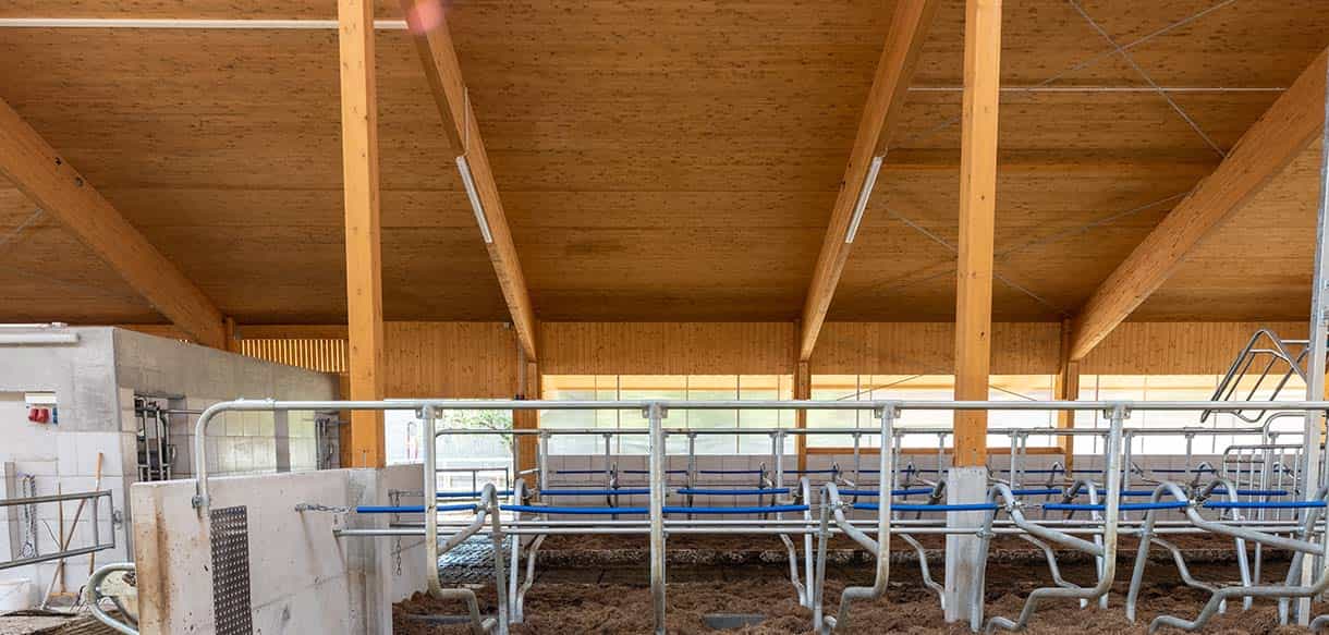 Milchviehstall von Haas Landwirtschaftsbau