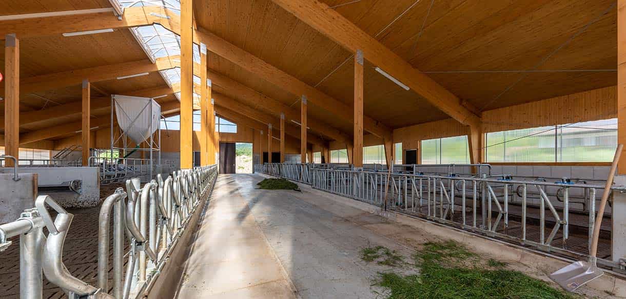Milchviehstall von Haas Landwirtschaftsbau