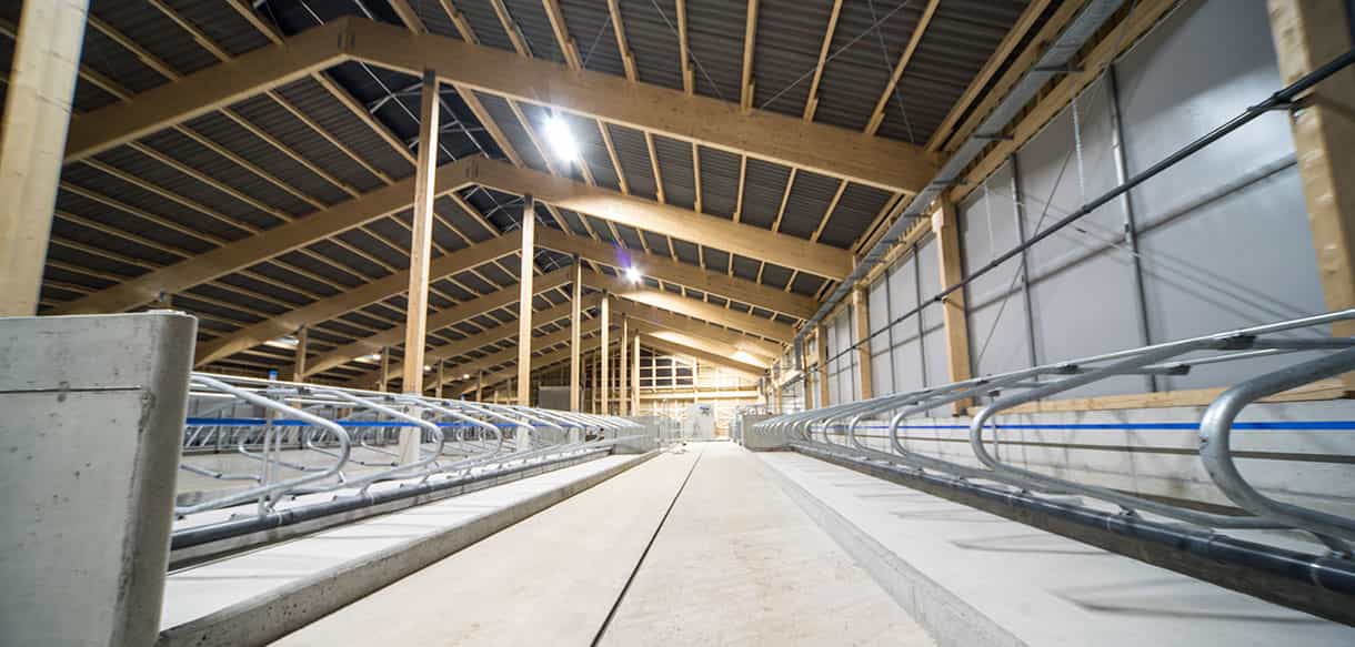 Milchviehstall von Haas Landwirtschaftsbau