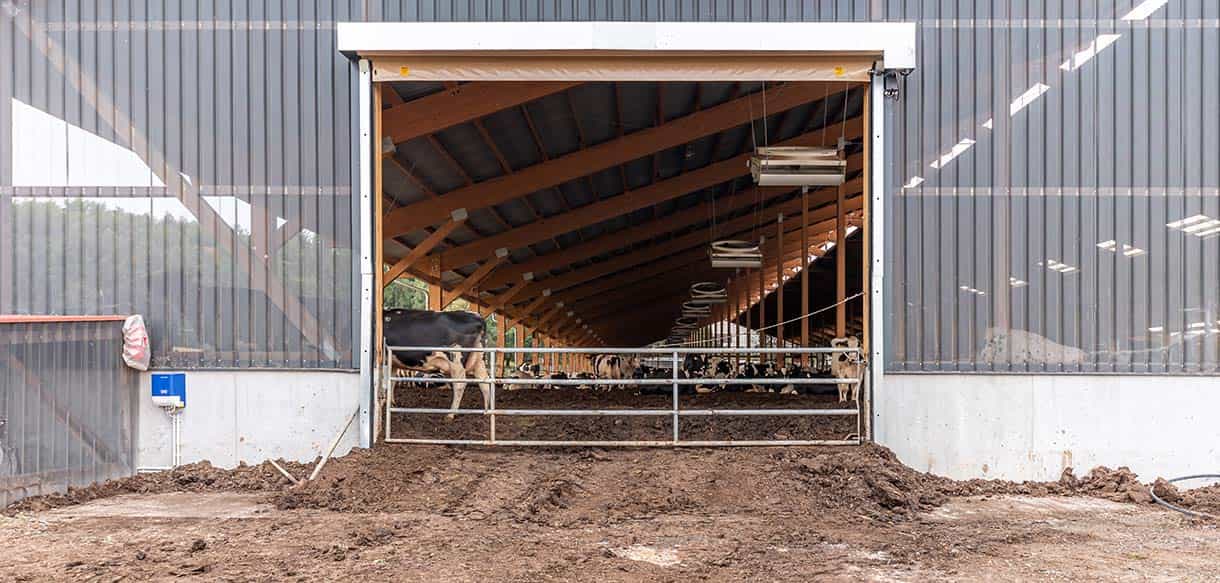 Liegehalle von Haas Landwirtschaftsbau
