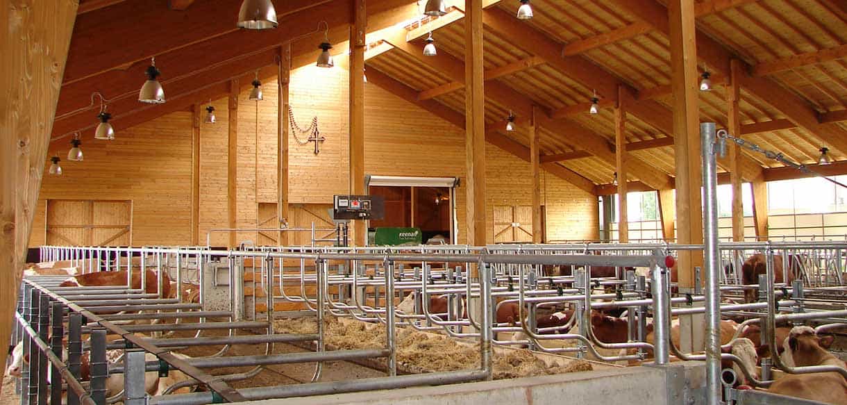 Melkhaus und Milchviehstall von Haas Landwirtschaftsbau