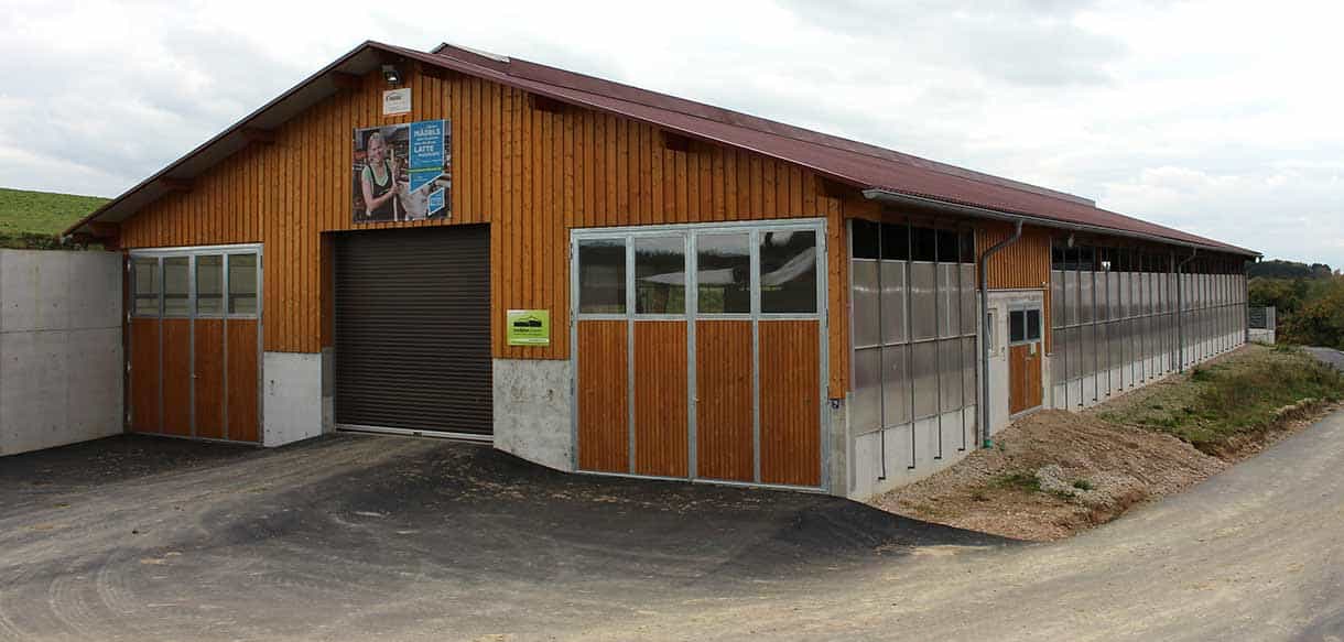 Milchviehstall mit Firstlüftung von Haas Landwirtschaftsbau