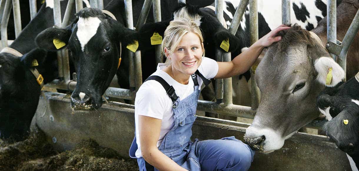Milchviehstall von Haas Landwirtschaftsbau