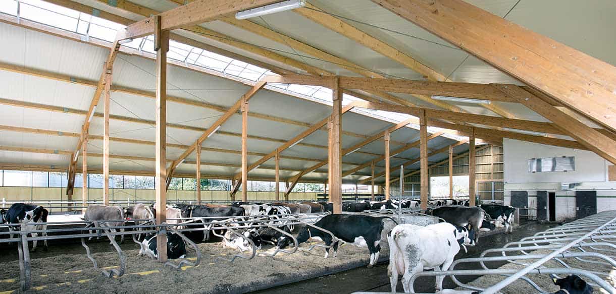 Milchviehstall von Haas Landwirtschaftsbau