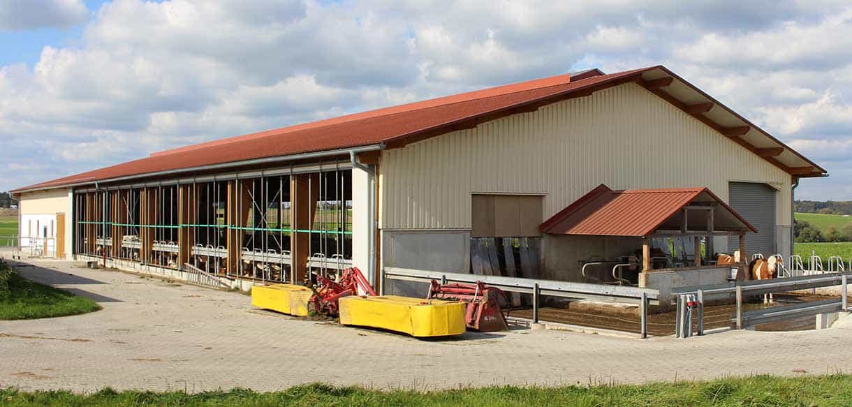 Milchviehstall mit Firstbelichtung von Haas Landwirtschaftsbau