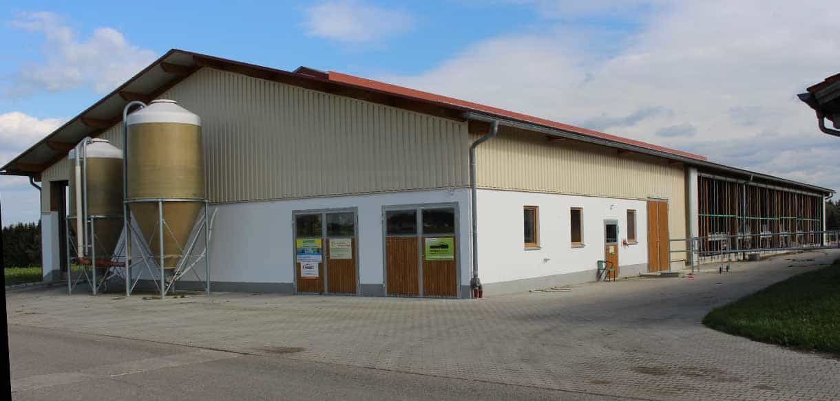 Milchviehstall mit Firstbelichtung von Haas Landwirtschaftsbau
