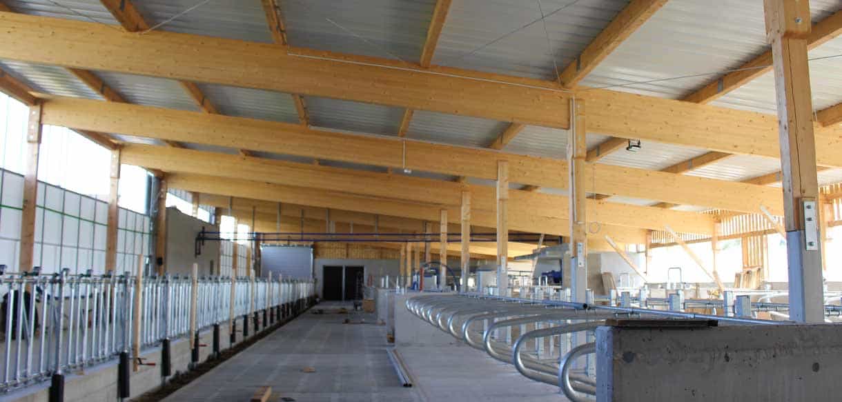 Milchviehstall mit Pultdach von Haas Landwirtschaftsbau