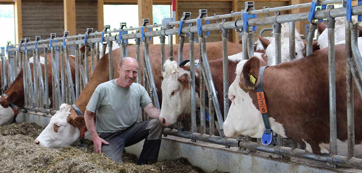 Milchviehstall von Haas Landwirtschaftsbau