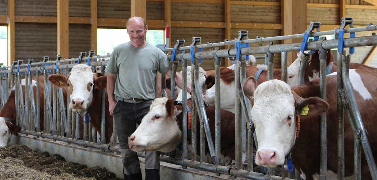 Milchviehstall von Haas Landwirtschaftsbau