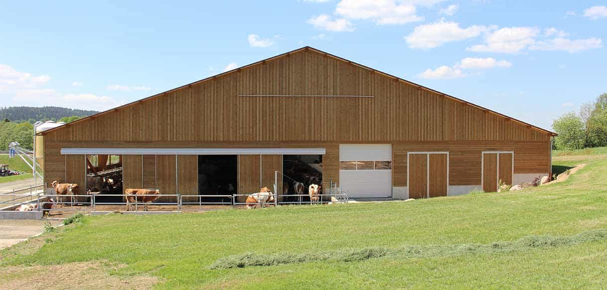Milchviehstall von Haas Landwirtschaftsbau