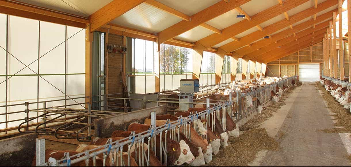 Milchviehstall von Haas Landwirtschaftsbau