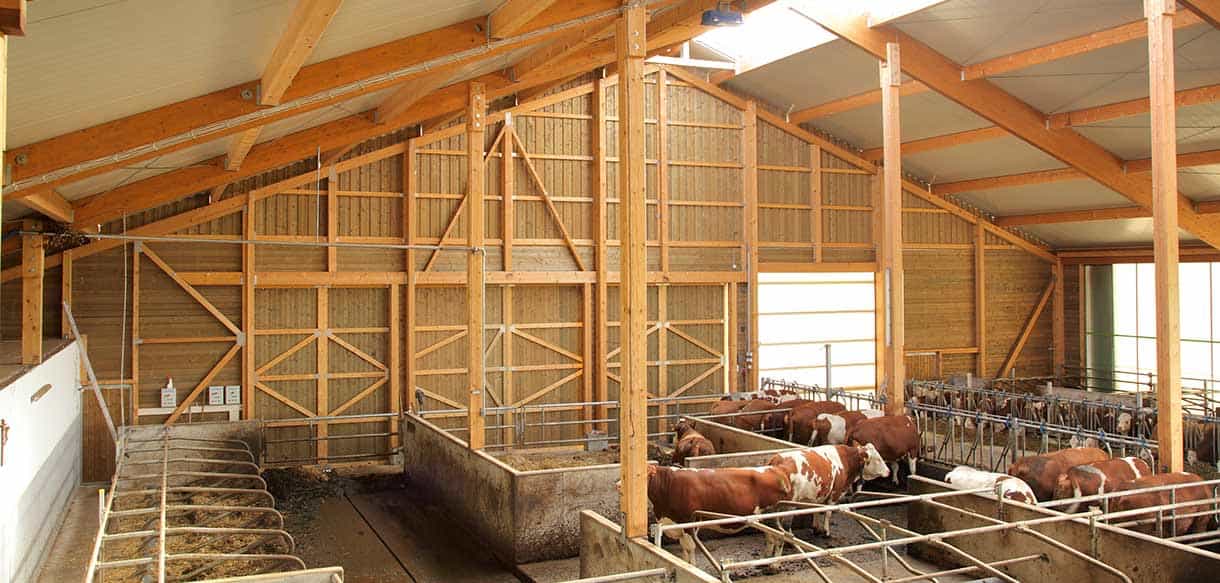 Milchviehstall von Haas Landwirtschaftsbau