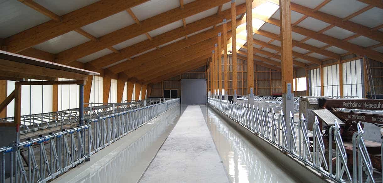 Milchviehstall von Haas Landwirtschaftsbau