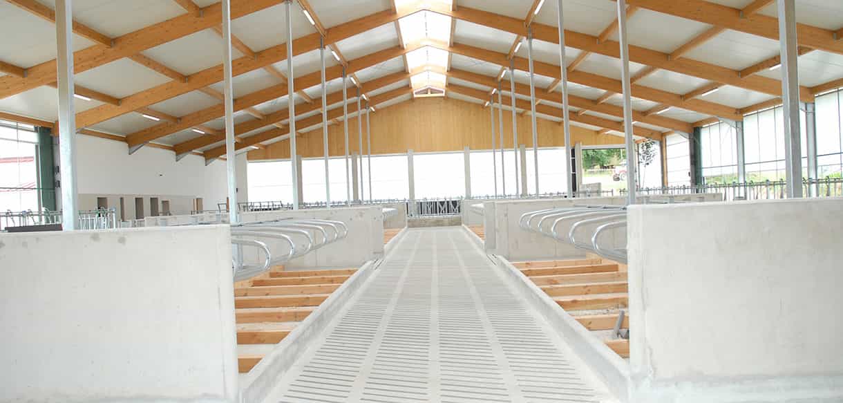 Milchviehstall von Haas Landwirtschaftsbau