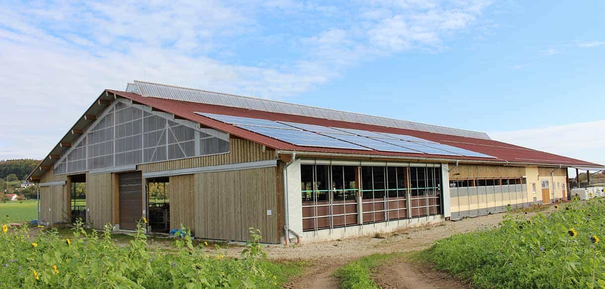 Milchviehstall mit Firstlüftung von Haas Landwirtschaftsbau