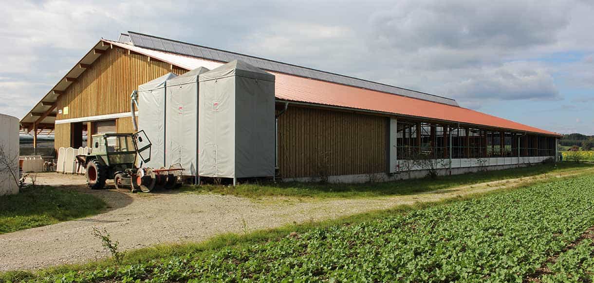 Milchviehstall mit Firstlüftung von Haas Landwirtschaftsbau