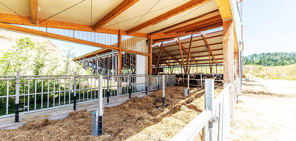 Milchviehstall von Haas Landwirtschaftsbau
