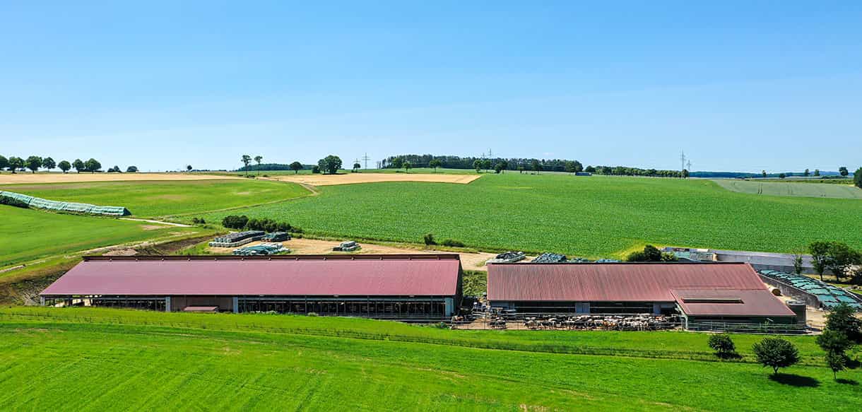 Milchviehstall von Haas Landwirtschaftsbau