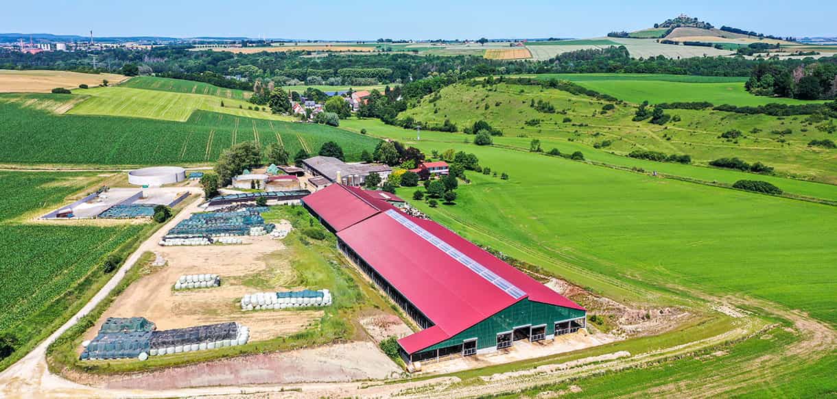 Milchviehstall von Haas Landwirtschaftsbau