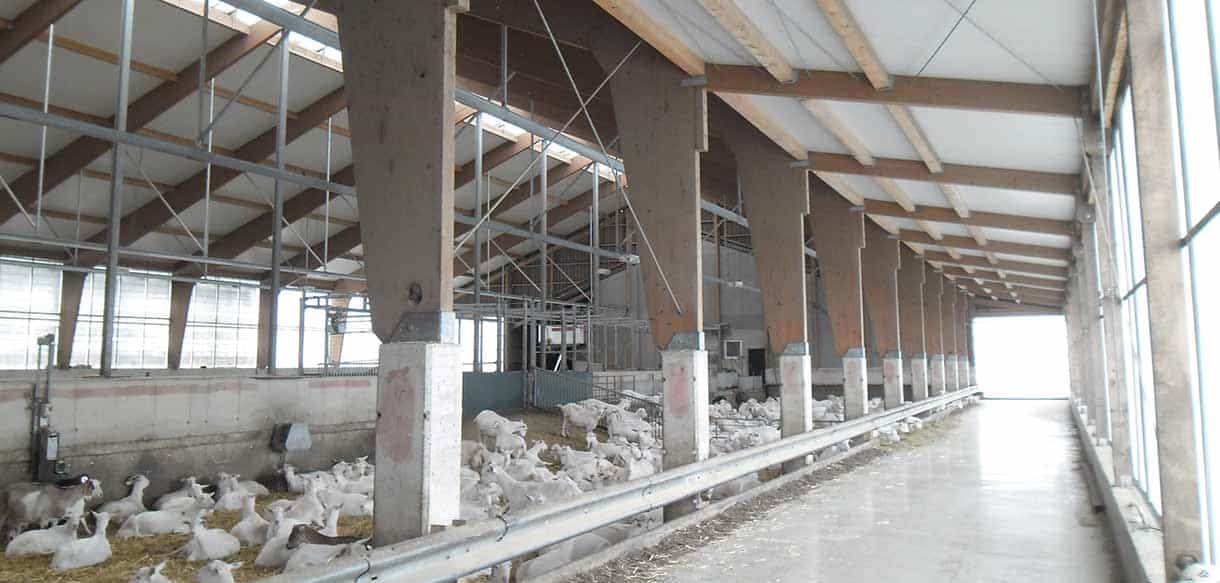 Ziegenstall von Haas Landwirtschaftsbau